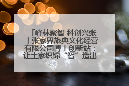 峰林聚智 科创兴张丨张家界旅典文化经营有限公司博士创新站：让土家织锦“智”造出非遗新传奇