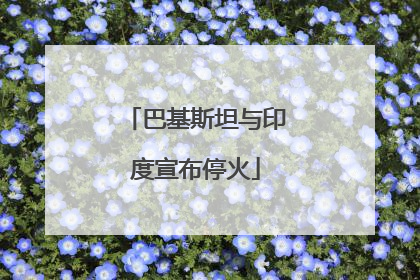 巴基斯坦与印度宣布停火