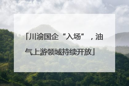 川渝国企“入场”，油气上游领域持续开放