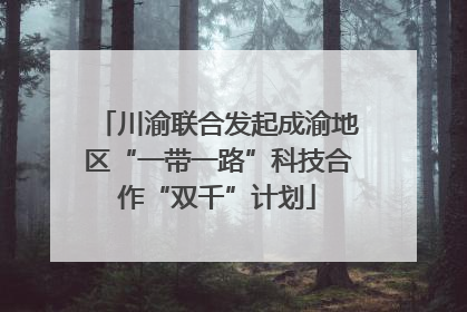 川渝联合发起成渝地区“一带一路”科技合作“双千”计划