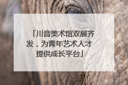 川音美术馆双展齐发，为青年艺术人才提供成长平台