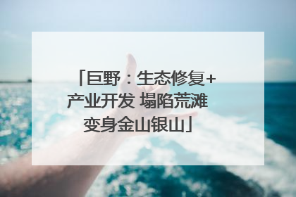 巨野：生态修复+产业开发 塌陷荒滩变身金山银山
