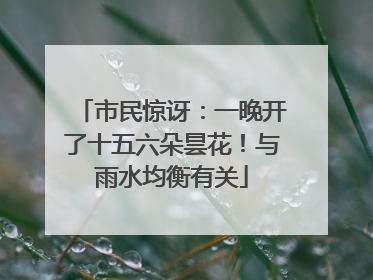 市民惊讶：一晚开了十五六朵昙花！与雨水均衡有关