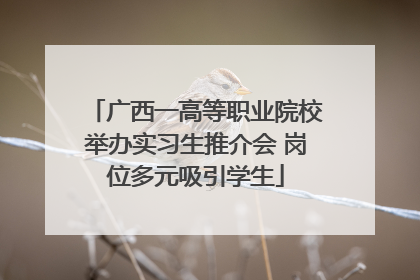 广西一高等职业院校举办实习生推介会 岗位多元吸引学生