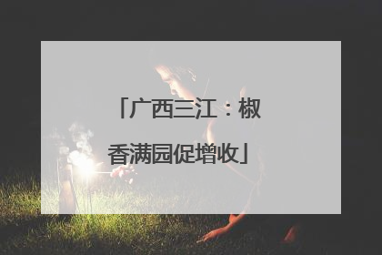 广西三江：椒香满园促增收