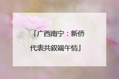 广西南宁：新侨代表共叙端午情