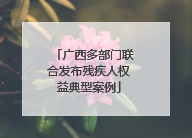 广西多部门联合发布残疾人权益典型案例