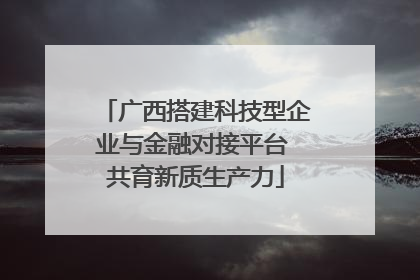 广西搭建科技型企业与金融对接平台 共育新质生产力