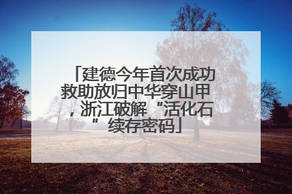 建德今年首次成功救助放归中华穿山甲，浙江破解“活化石”续存密码