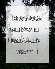 建设行政执法标准化体系 四川晒出六年工作“成绩单”
