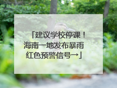建议学校停课！海南一地发布暴雨红色预警信号→