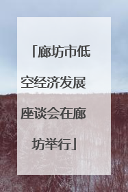 廊坊市低空经济发展座谈会在廊坊举行