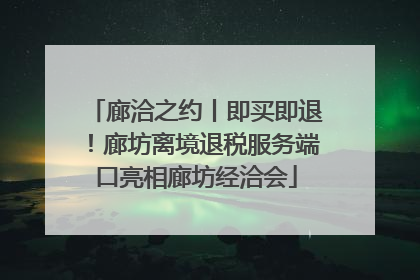 廊洽之约丨即买即退！廊坊离境退税服务端口亮相廊坊经洽会