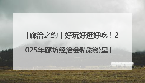 廊洽之约丨好玩好逛好吃！2025年廊坊经洽会精彩纷呈