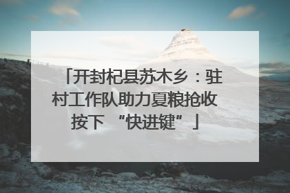开封杞县苏木乡：驻村工作队助力夏粮抢收按下 “快进键”