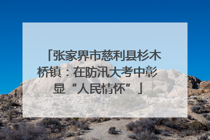 张家界市慈利县杉木桥镇：在防汛大考中彰显“人民情怀”