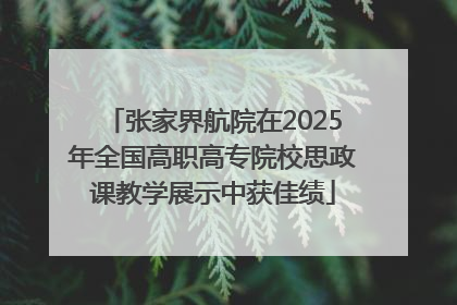 张家界航院在2025年全国高职高专院校思政课教学展示中获佳绩