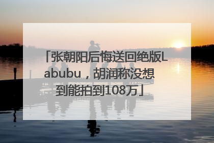张朝阳后悔送回绝版Labubu，胡润称没想到能拍到108万