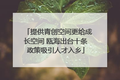 提供青创空间更给成长空间 瓯海出台十条政策吸引人才入乡