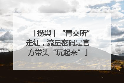 捞舆｜“青交所”走红，流量密码是官方带头“玩起来”