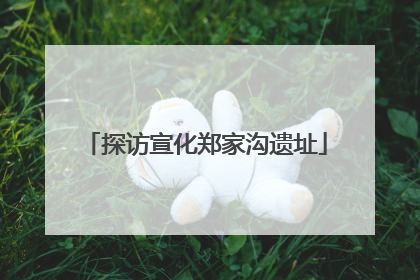 探访宣化郑家沟遗址