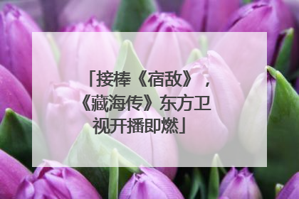 接棒《宿敌》，《藏海传》东方卫视开播即燃