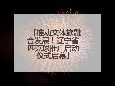 推动文体旅融合发展！辽宁省匹克球推广启动仪式启幕