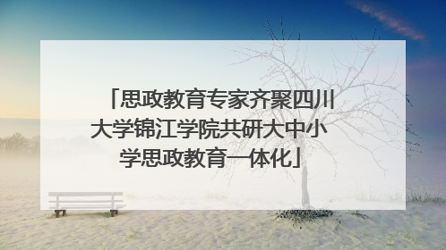 思政教育专家齐聚四川大学锦江学院共研大中小学思政教育一体化