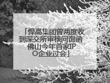 悍高集团曾两度收到深交所审核问询函 佛山今年首家IPO企业过会