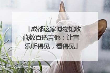 成都这家博物馆收藏数百把吉他：让音乐听得见，看得见