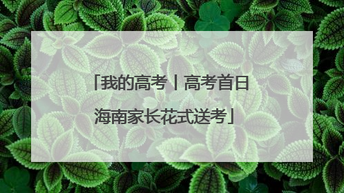 我的高考丨高考首日 海南家长花式送考
