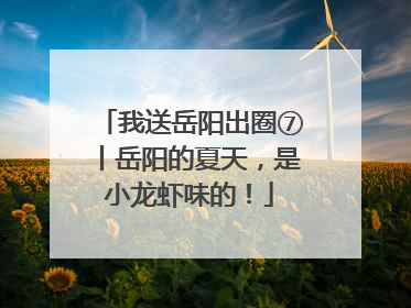 我送岳阳出圈⑦丨岳阳的夏天，是小龙虾味的！