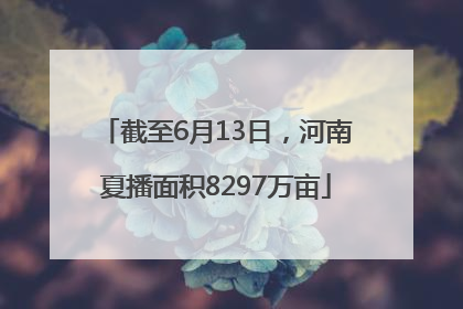 截至6月13日，河南夏播面积8297万亩