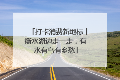 打卡消费新地标丨衡水湖边走一走，有水有鸟有乡愁