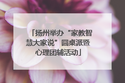 扬州举办“家教智慧大家说”圆桌派暨心理团辅活动