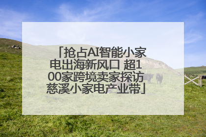 抢占AI智能小家电出海新风口 超100家跨境卖家探访慈溪小家电产业带
