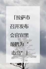 拉萨市召开发布会官宣黑颈鹤为“市鸟”