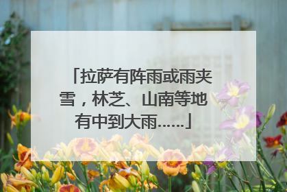 拉萨有阵雨或雨夹雪，林芝、山南等地有中到大雨……