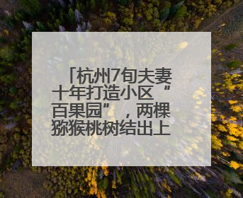 杭州7旬夫妻十年打造小区“百果园”，两棵猕猴桃树结出上千个果子