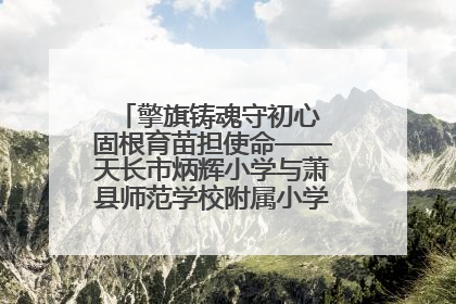 擎旗铸魂守初心 固根育苗担使命——天长市炳辉小学与萧县师范学校附属小学结对共建活动纪实