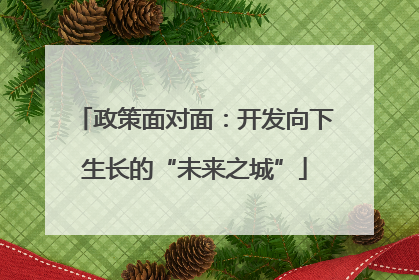 政策面对面：开发向下生长的“未来之城”