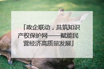 政企联动，共筑知识产权保护网——赋能民营经济高质量发展