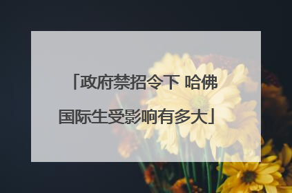 政府禁招令下 哈佛国际生受影响有多大