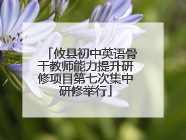 攸县初中英语骨干教师能力提升研修项目第七次集中研修举行