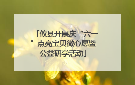 攸县开展庆“六一”点亮宝贝微心愿暨公益研学活动