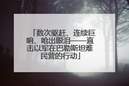 数次驱赶、连续巨响、呛出眼泪——直击以军在巴勒斯坦难民营的行动