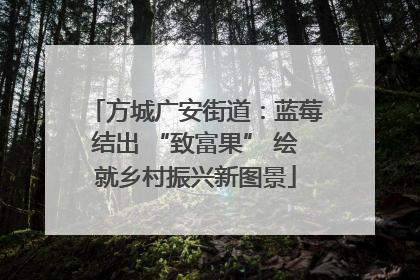 方城广安街道：蓝莓结出 “致富果” 绘就乡村振兴新图景