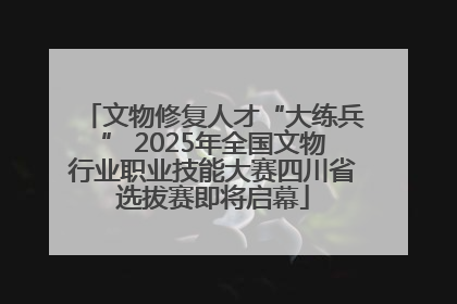文物修复人才“大练兵” 2025年全国文物行业职业技能大赛四川省选拔赛即将启幕