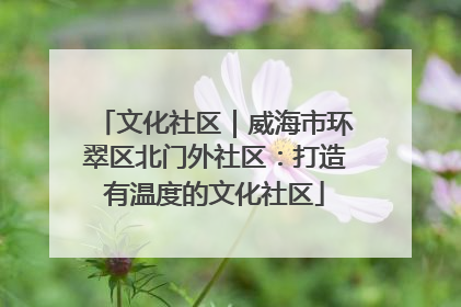 文化社区｜威海市环翠区北门外社区：打造有温度的文化社区