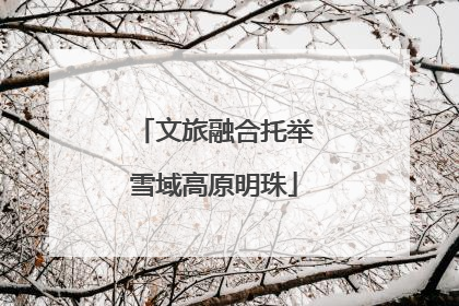 文旅融合托举雪域高原明珠